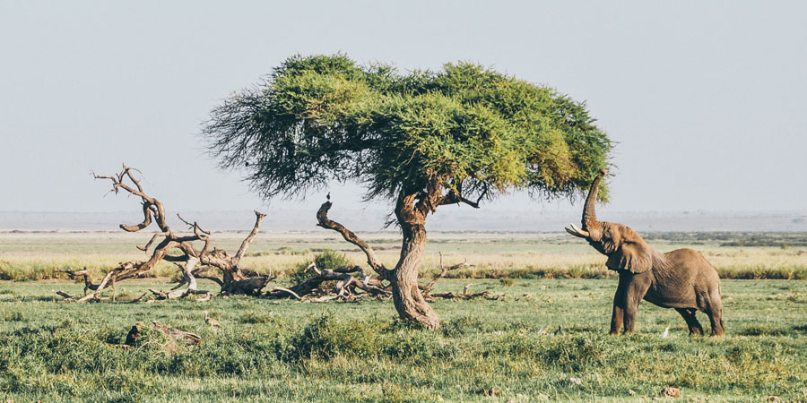 harshil-gudka-449487-unsplash-l