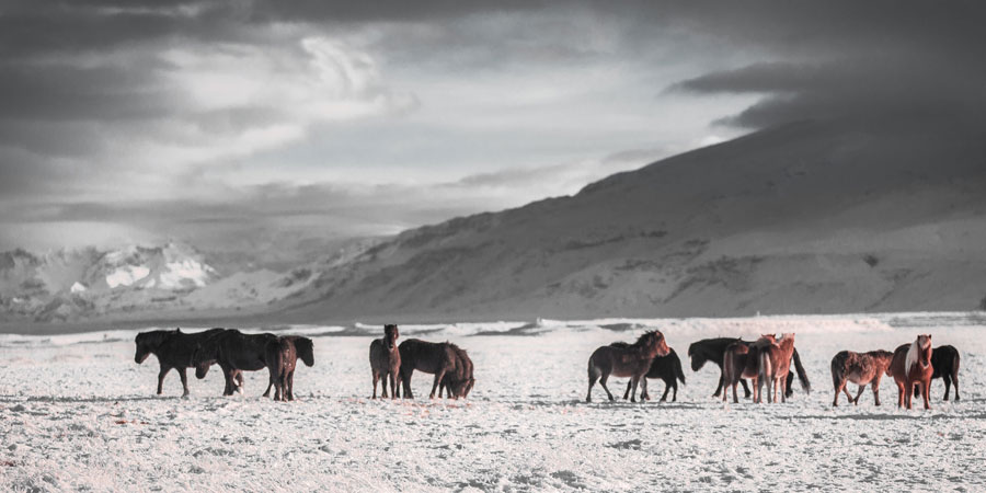martin-jernberg-232000-unsplash-l